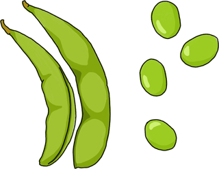 枝豆のイラスト