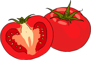トマトのイラスト